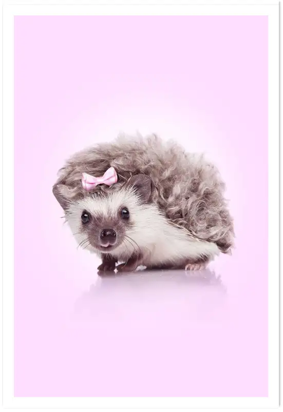 Affiche hérisson noeud rose - photo animalière enfant