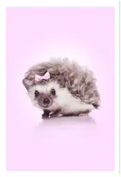Affiche hérisson noeud rose - photo animalière enfant