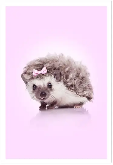 Affiche hérisson noeud rose - photo animalière enfant