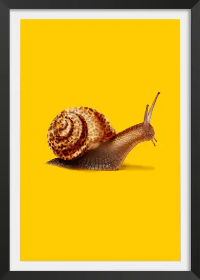 Affiche escargot et coquille léopard - photo humoristique