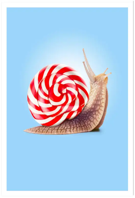 Affiche escargot berlingot - photo minimaliste colorée