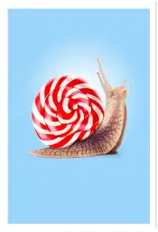Affiche escargot berlingot - photo minimaliste colorée