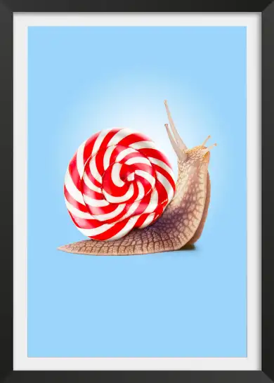 Affiche escargot berlingot - photo minimaliste colorée