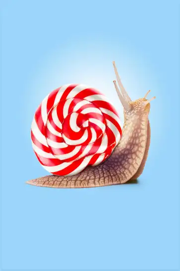 Affiche escargot berlingot - photo minimaliste colorée