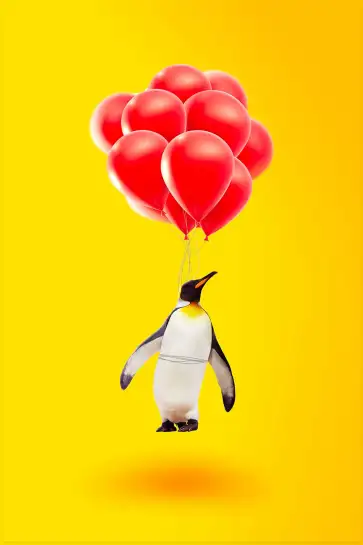 Affiche pingouin ballons rouges - illustration minimaliste