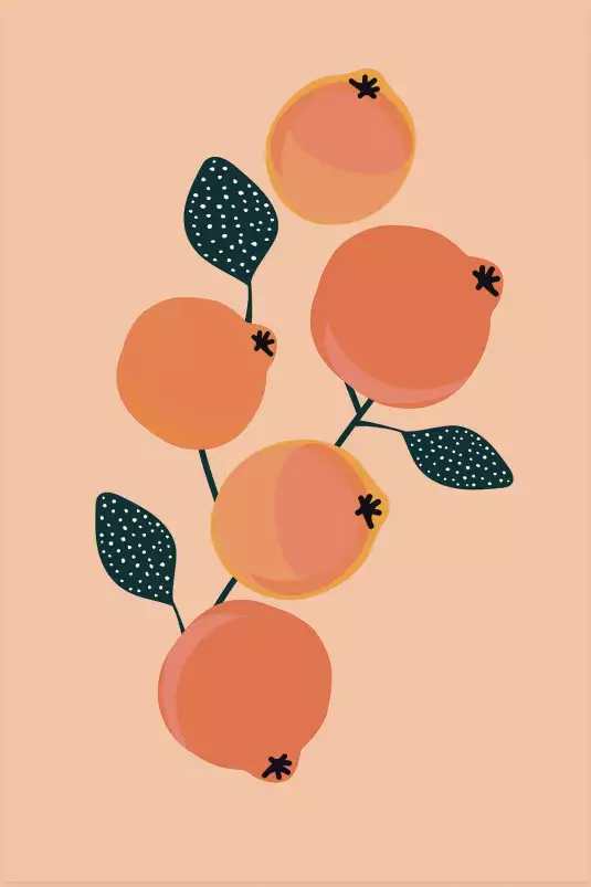 Vintage grenades orangées - affiche fruits