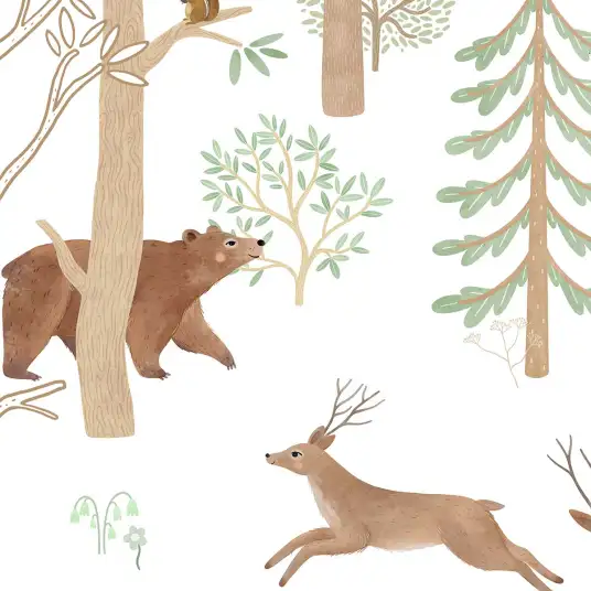 Forêt animé
