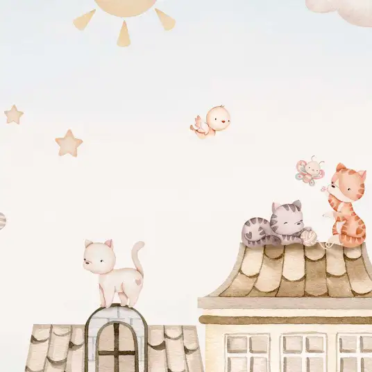 Chats sur les toits