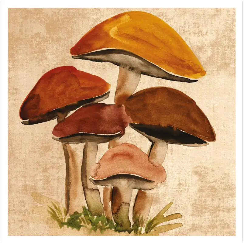 Tableau Champignons de Forêt à l’Aquarelle - Illustration Botanique Vintage