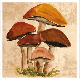 Tableau Champignons de Forêt à l’Aquarelle - Illustration Botanique Vintage