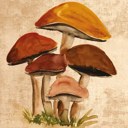 Tableau Champignons de Forêt à l’Aquarelle - Illustration Botanique Vintage