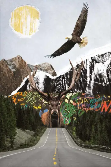 Affiche cerf et aigle - collage montagne et street art