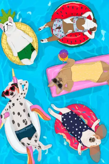 Affiche chiens à la piscine - illustration été & humour