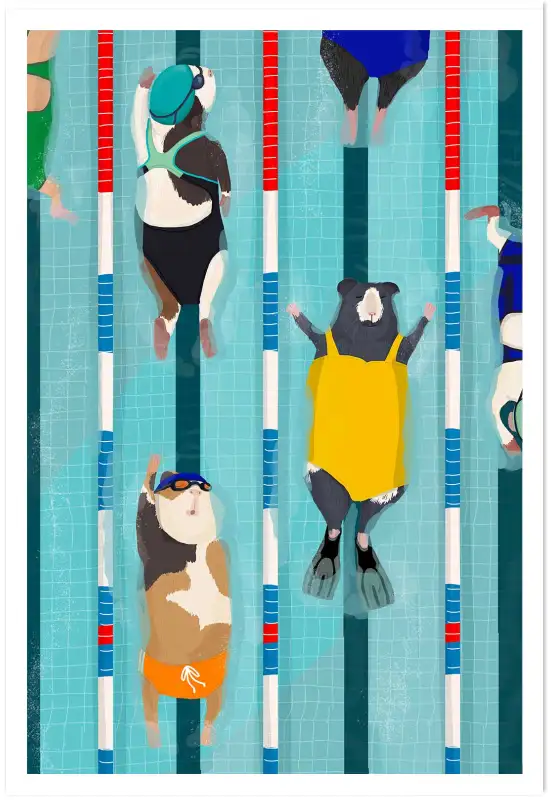 Affiche cobayes piscine - illustration sport & humour