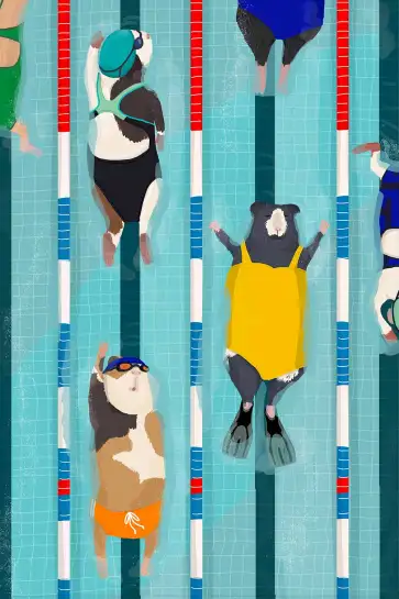 Affiche cobayes piscine - illustration sport & humour