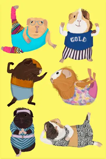 Affiche Hamster fitness - illustration gym & sport