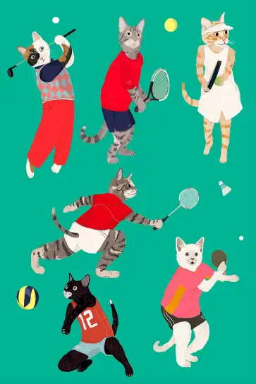 Affiche chats sportifs - illustration racket & ballons vert