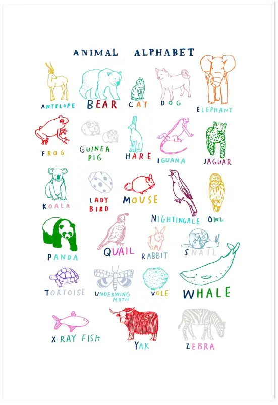 Affiche alphabet animaux - abc éducatif & coloré