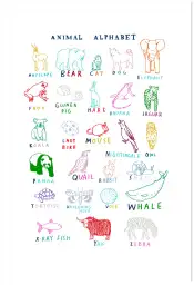 Affiche alphabet animaux - abc éducatif & coloré
