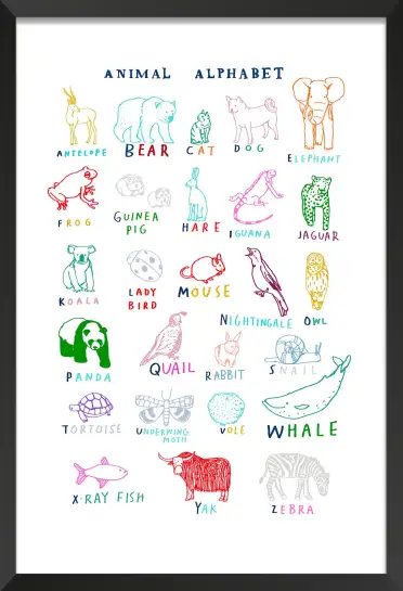 Affiche alphabet animaux - abc éducatif & coloré
