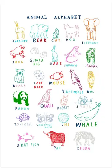 Affiche alphabet animaux - abc éducatif & coloré