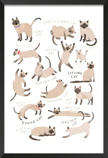 Affiche Postures Chats Siamois - Illustration Enfant Chaton