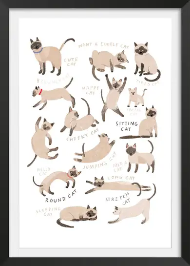 Affiche Postures Chats Siamois - Illustration Enfant Chaton