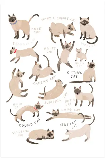 Affiche Postures Chats Siamois - Illustration Enfant Chaton