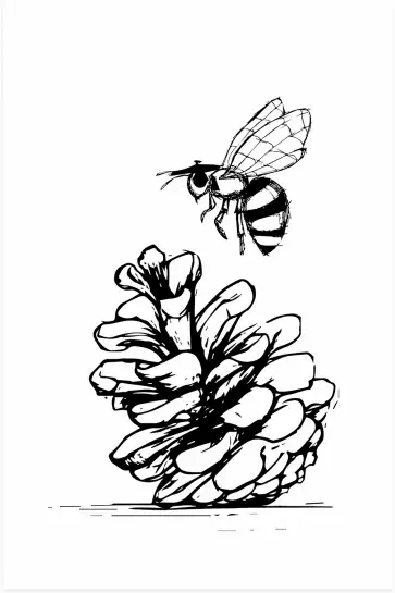 Pomme de pins et abeille - illustration sud ouest