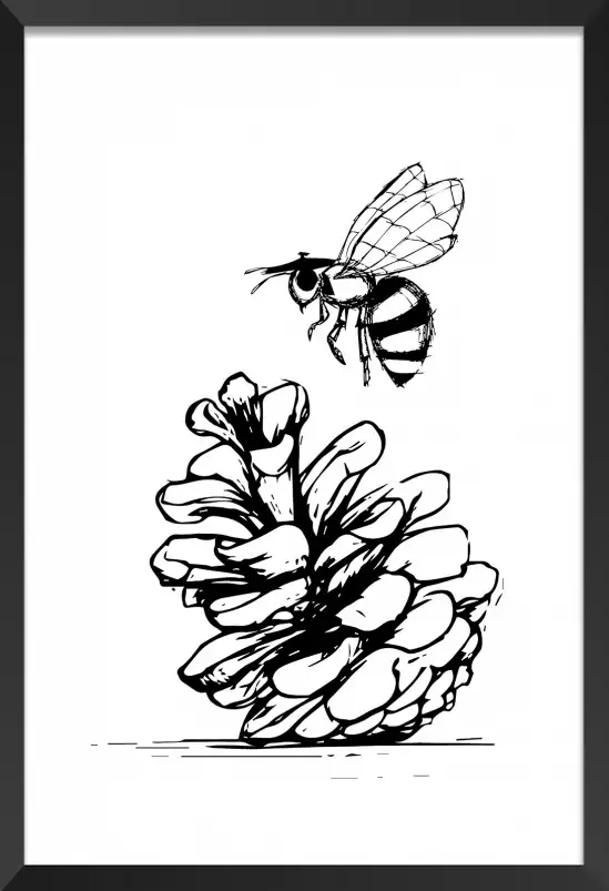 Pomme de pins et abeille - illustration sud ouest