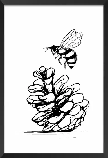 Pomme de pins et abeille - illustration sud ouest