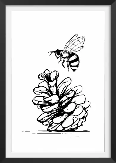 Pomme de pins et abeille - illustration sud ouest