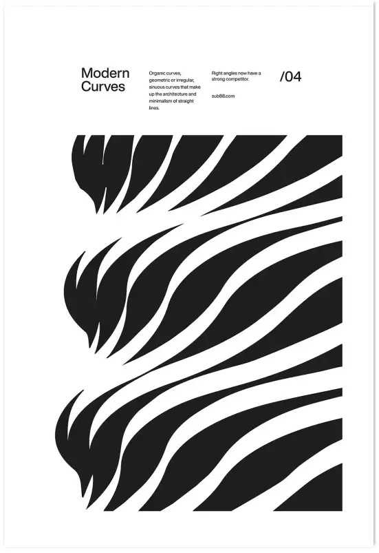 Affiche art abstrait modern curves noir et blanc