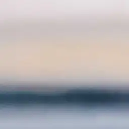 Horizon Flou Rose