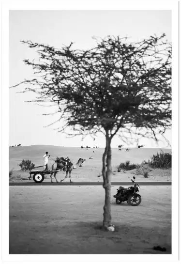 Photo"jaisalmer, rajasthan" - tableau paysage nature