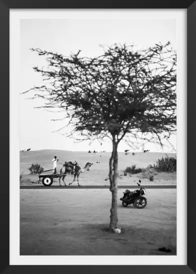 Photo"jaisalmer, rajasthan" - tableau paysage nature