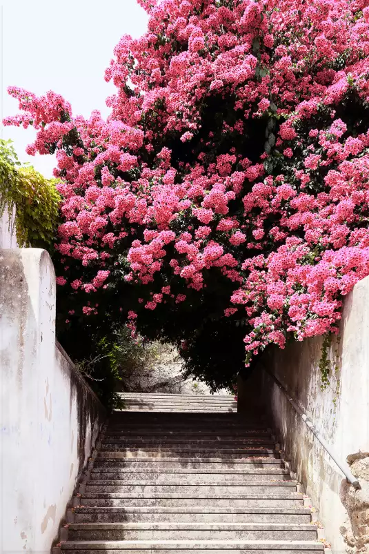 Welcometoportugal secret street - poster de fleurs