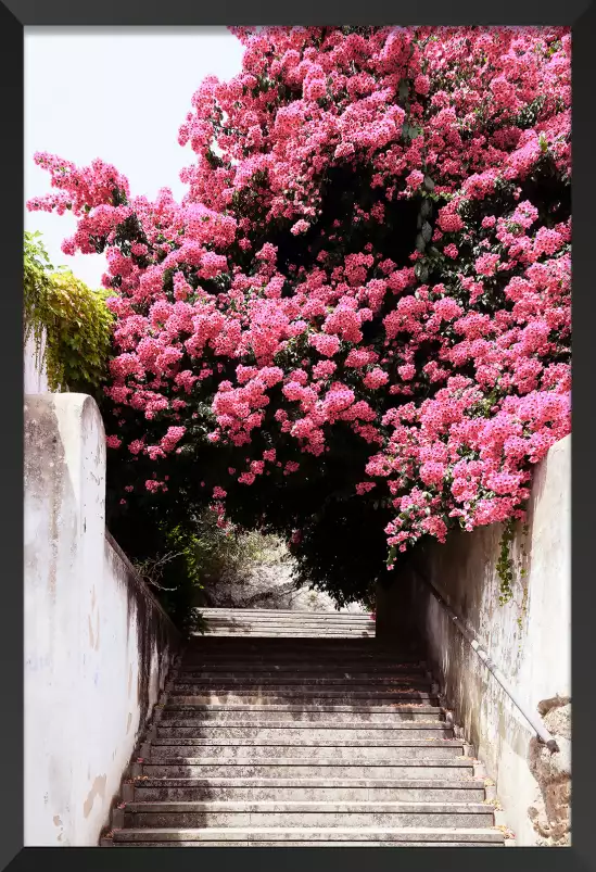 Welcometoportugal secret street - poster de fleurs