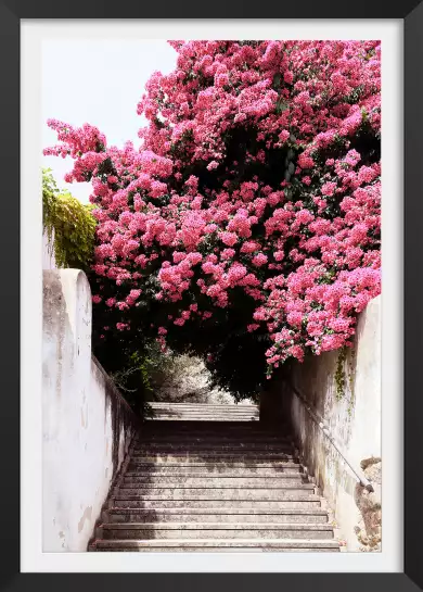 Welcometoportugal secret street - poster de fleurs