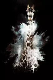 Wild explosion girafe - tableau animaux multicolore