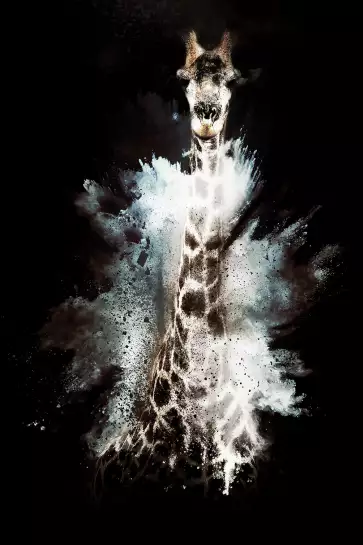 Wild explosion girafe - tableau animaux multicolore