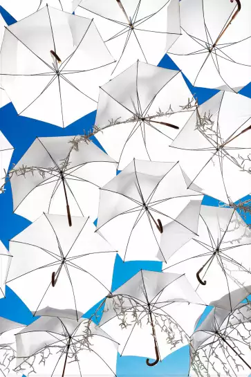 Deco ombrella - tableau contemporain