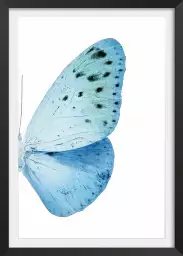 Collection azul butterfly - affiche animaux