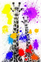 Duo de girafe pop art - tableau animaux multicolore