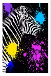 Zebre pop art - tableau animaux multicolore