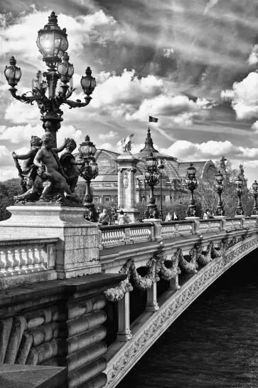 Vue du pont alexandre III - tableau paris