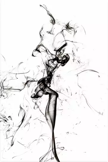 Black smoke tulip dream - poster design