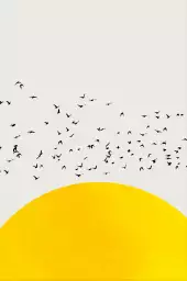 1000 oiseaux - poster minimaliste