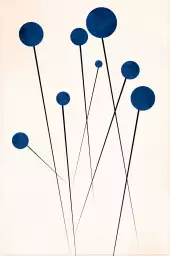 Bleuets - poster minimaliste