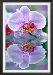 Reflet d'orchidée - tableau de fleur